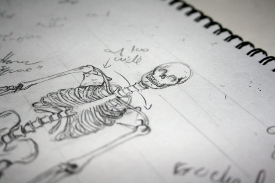 Skeleton Head Sketch