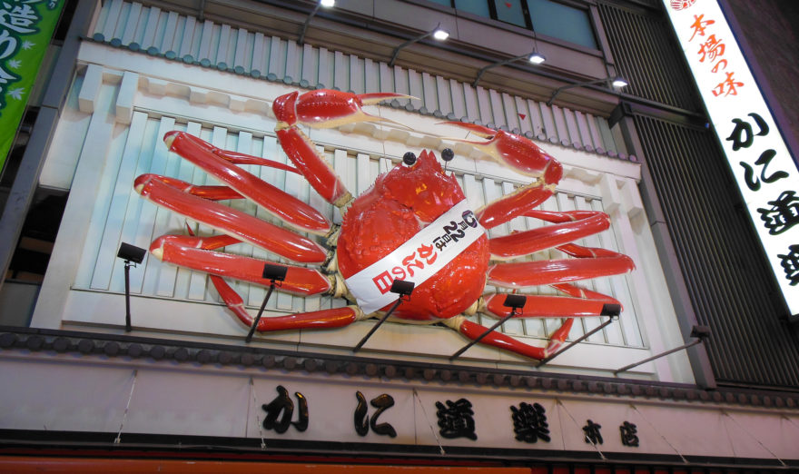 Japan Trip 2013 - One of many large moving signs in Namba (Minami) in Osaka