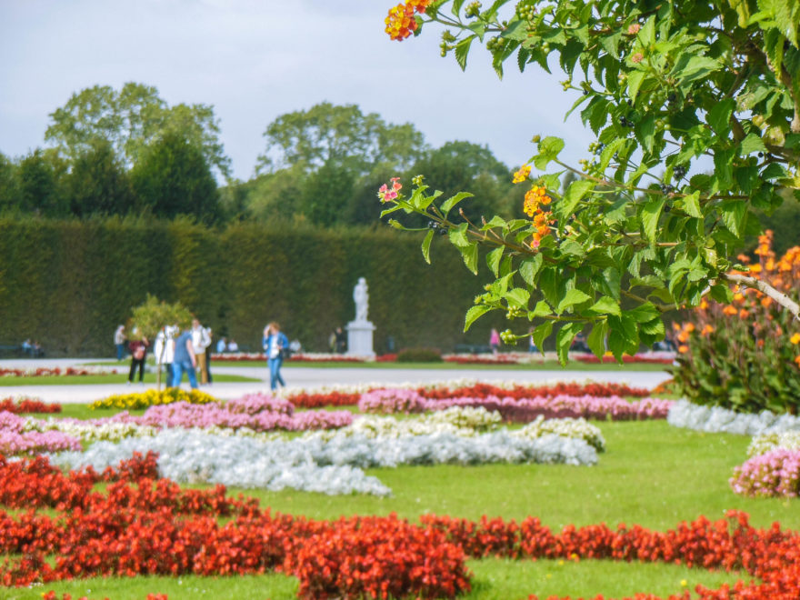 Austria 2016 - Schloss Schönbrunn flower beds