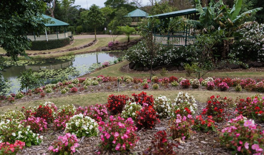 Montville - Maleny Botanic Gardens & Bird World