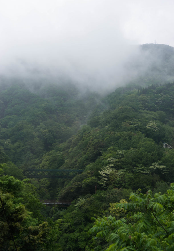 View from the Hakone Tozan Railway - Hakone, Japan