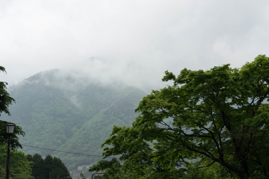 Gora Park - Hakone, Japan