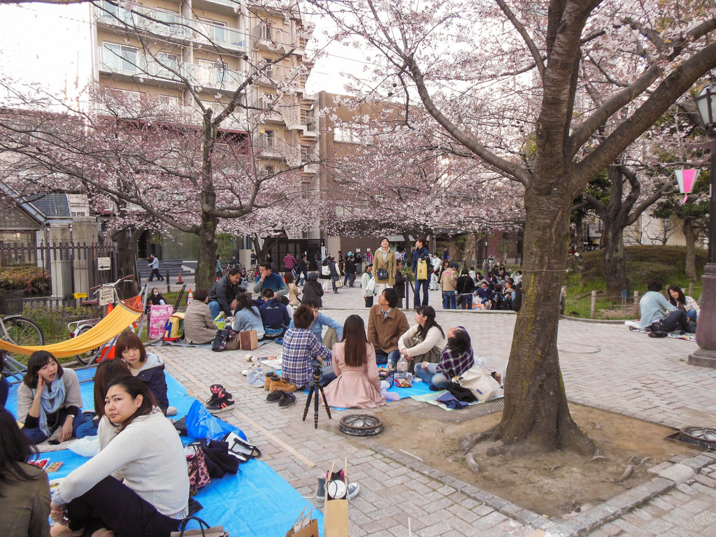 Japan Trip 2015 - Sakura / Cherry Blossoms in Sumida Park, Asakura